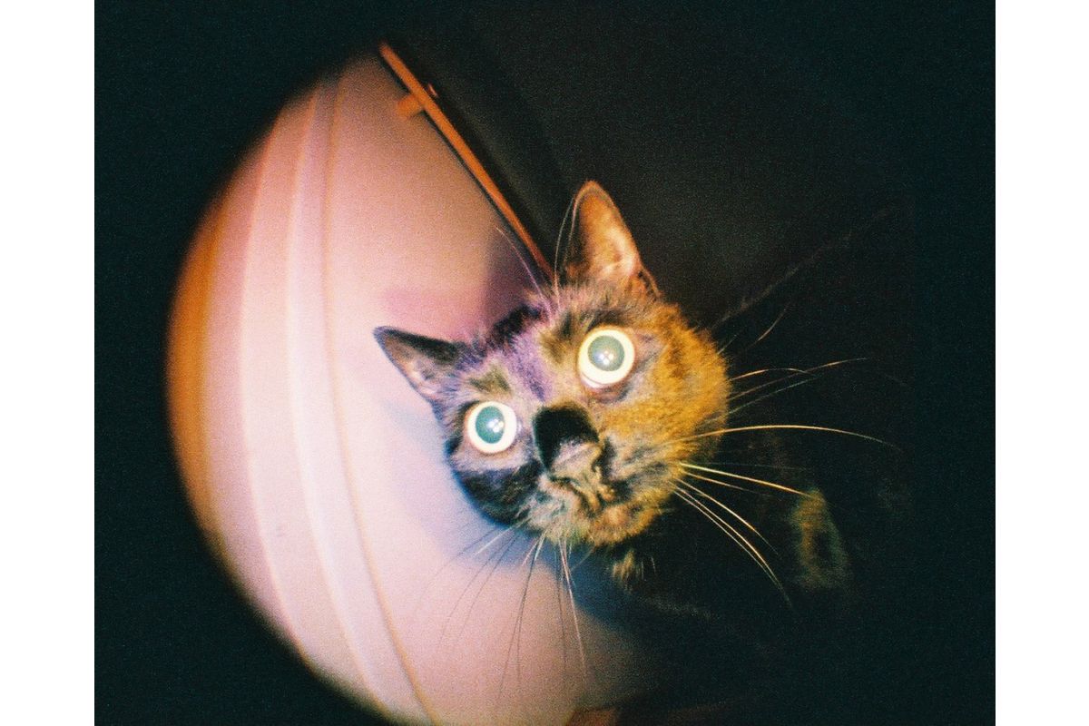 Lomography Fisheye Baby Bauhaus Edition Camera