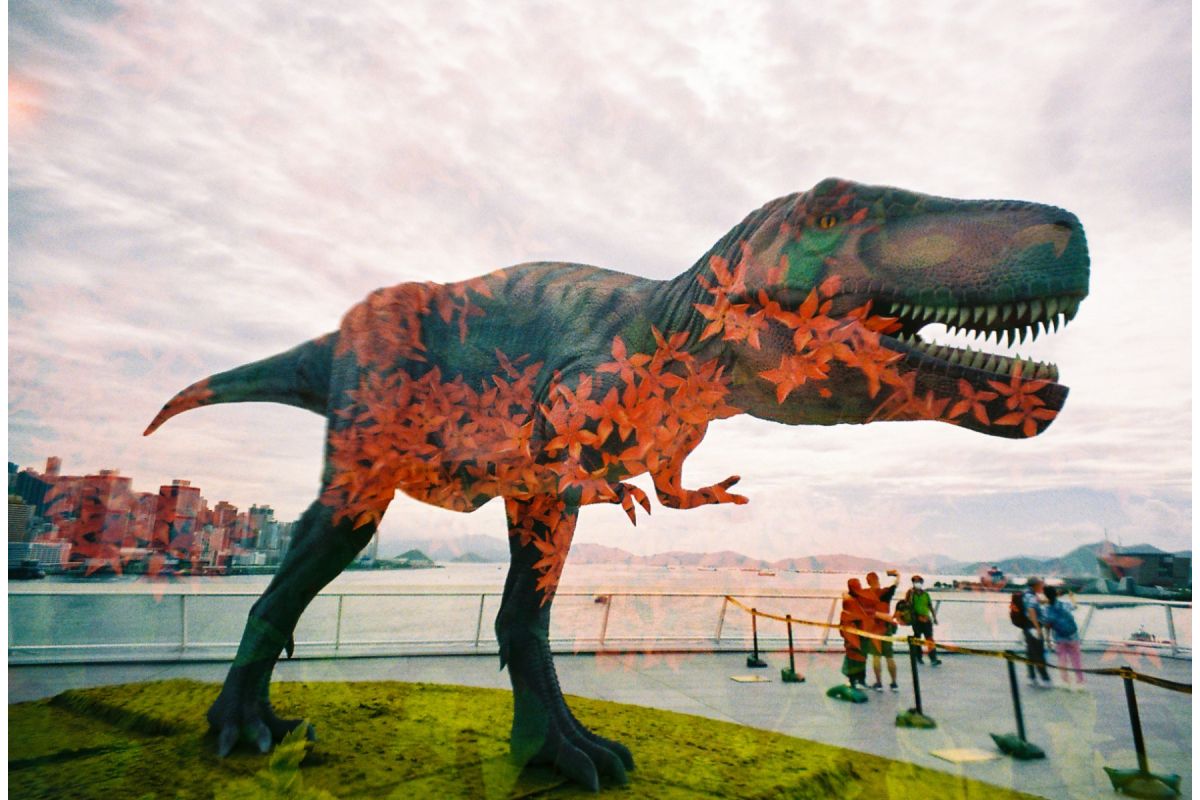 Lomography LomoApparat 21mm Wide-Angle Camera －Schiele Edition