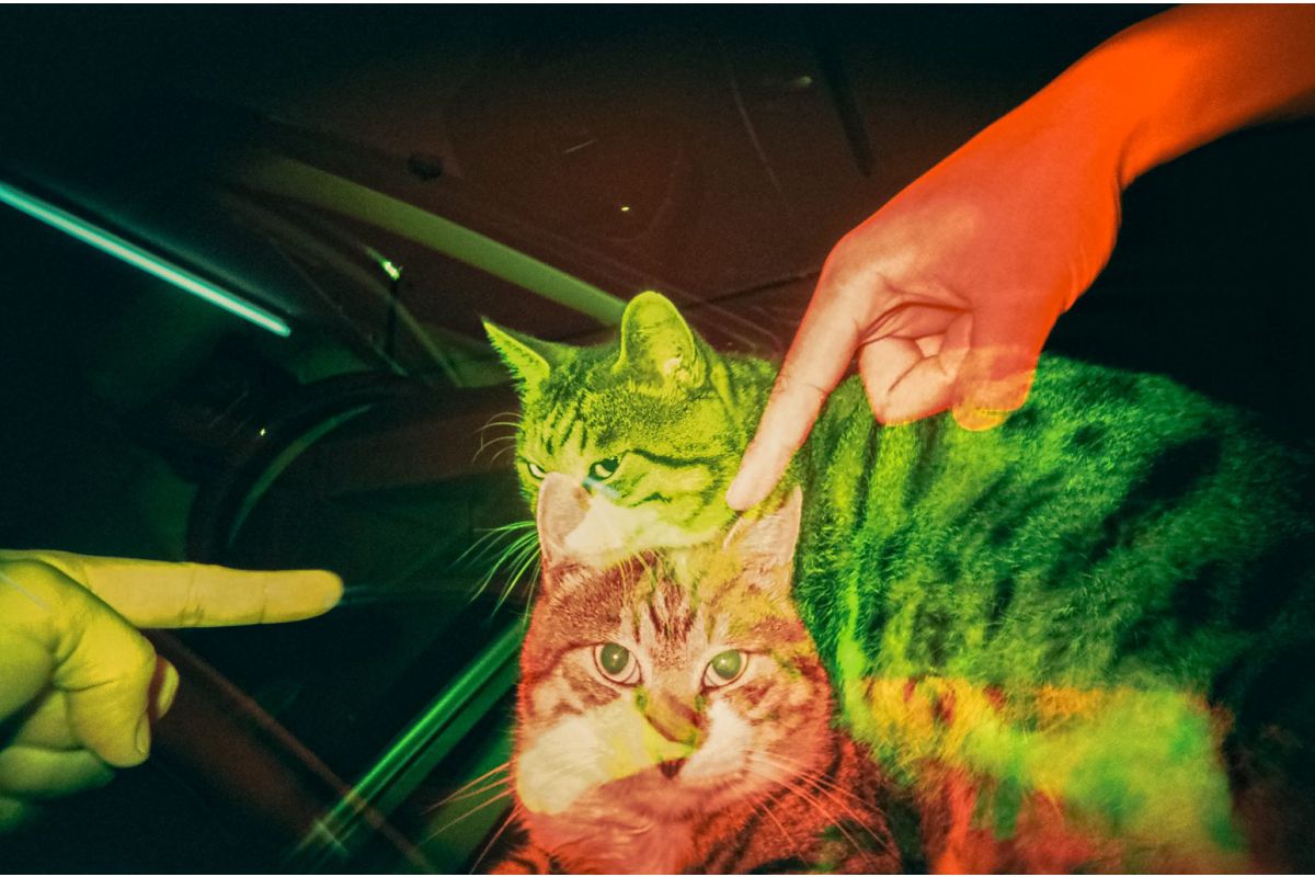 Lomography LomoApparat 21mm Wide-Angle Camera －Chiyoda Edition