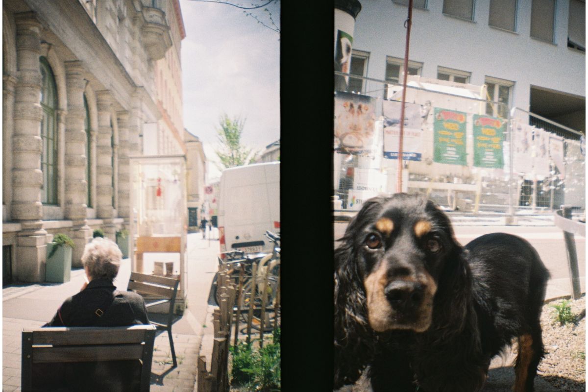 Lomography Lomourette Half-frame Camera