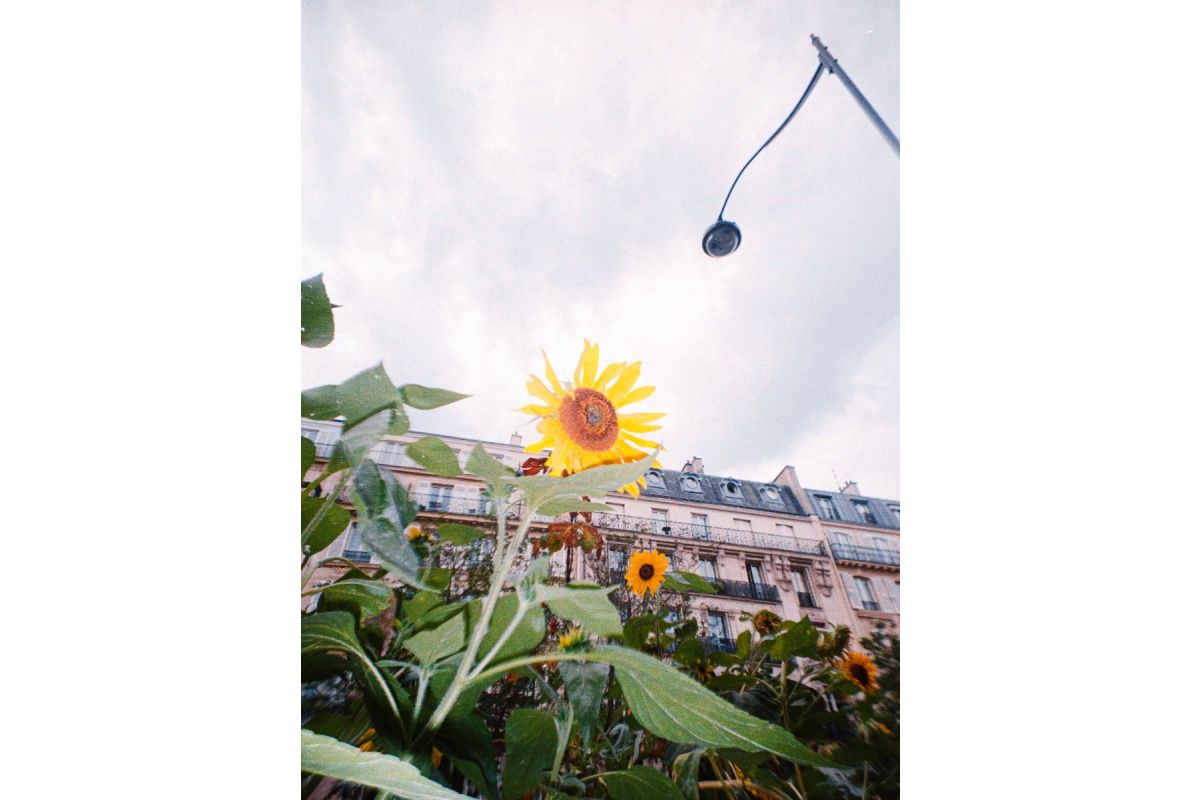 Lomography LomoApparat 21mm Wide-Angle Camera －Paris Edition