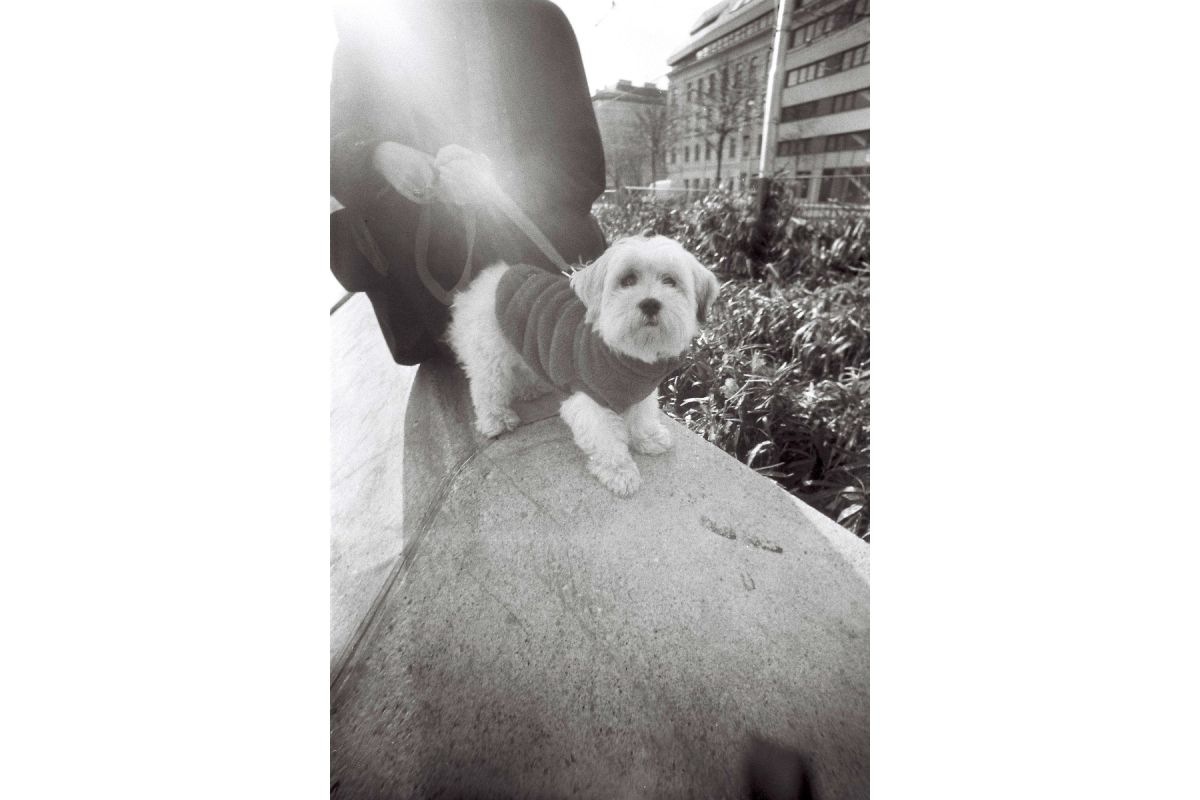 Lomo 35mm Film  Developing Tank