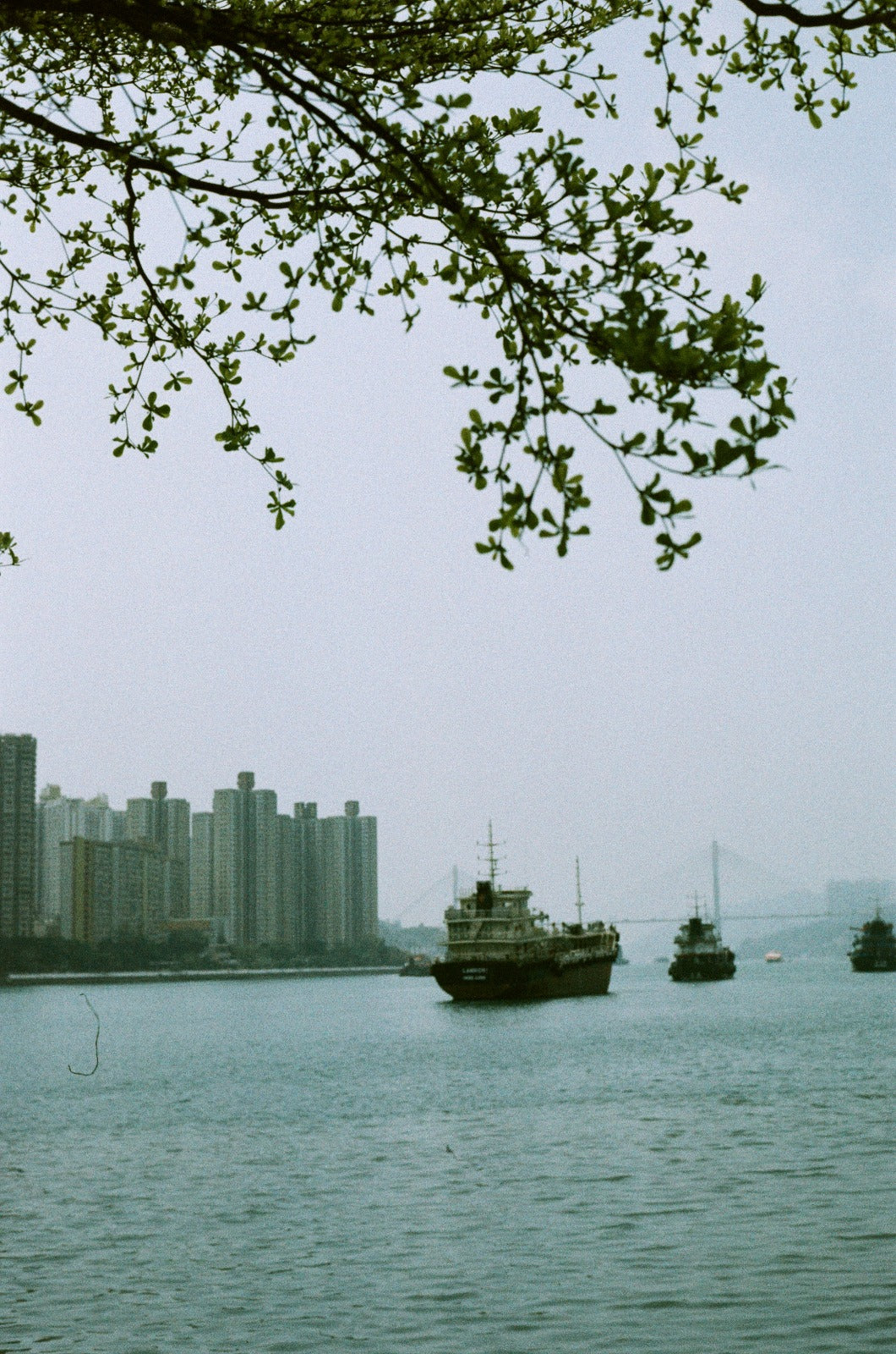 Kodak Ultramax 400 Película De Color YASHICA Sapphire 70s - 135-24 Fotos, 400 ISO Carrete 35mm Kodak Ultramax 400 Película De Color YASHICA Sapphire 70s - 135-24 Fotos, 400 ISO Carrete 35mm