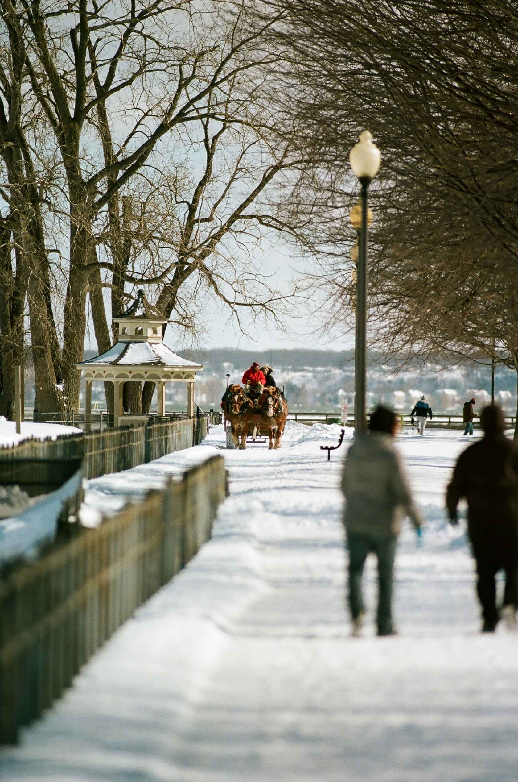 Kodak Ektacolor Pro 160 / 120