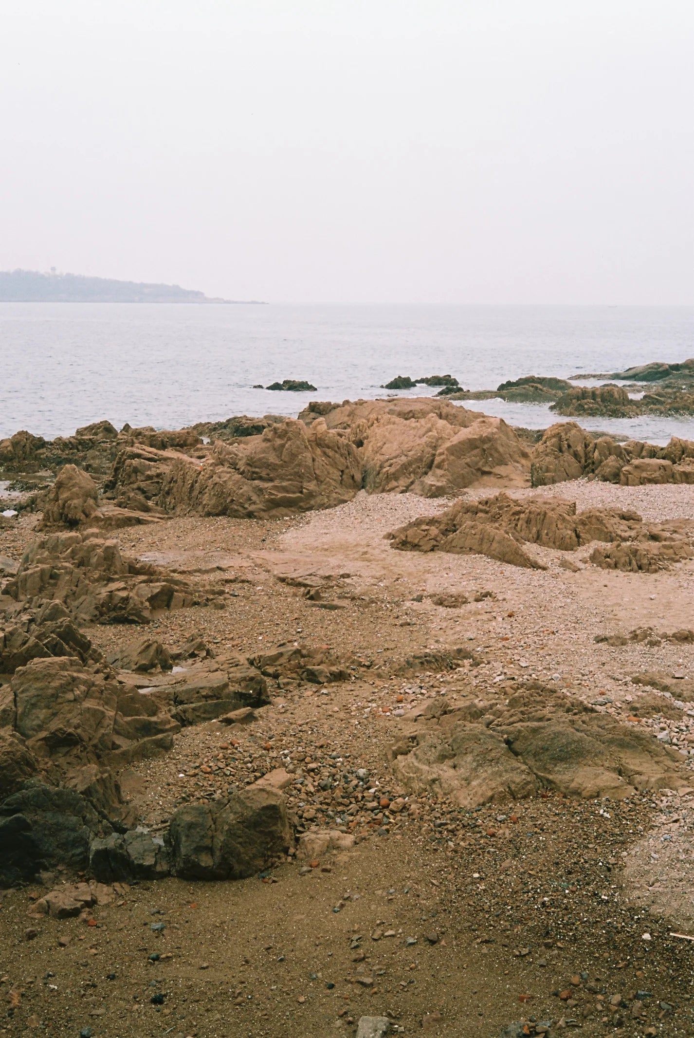 Reflx Lab Pro 100 Color Negative Film 36EXP