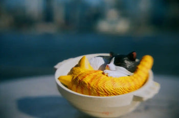 KODAK ULTRAMAX 400 / 135