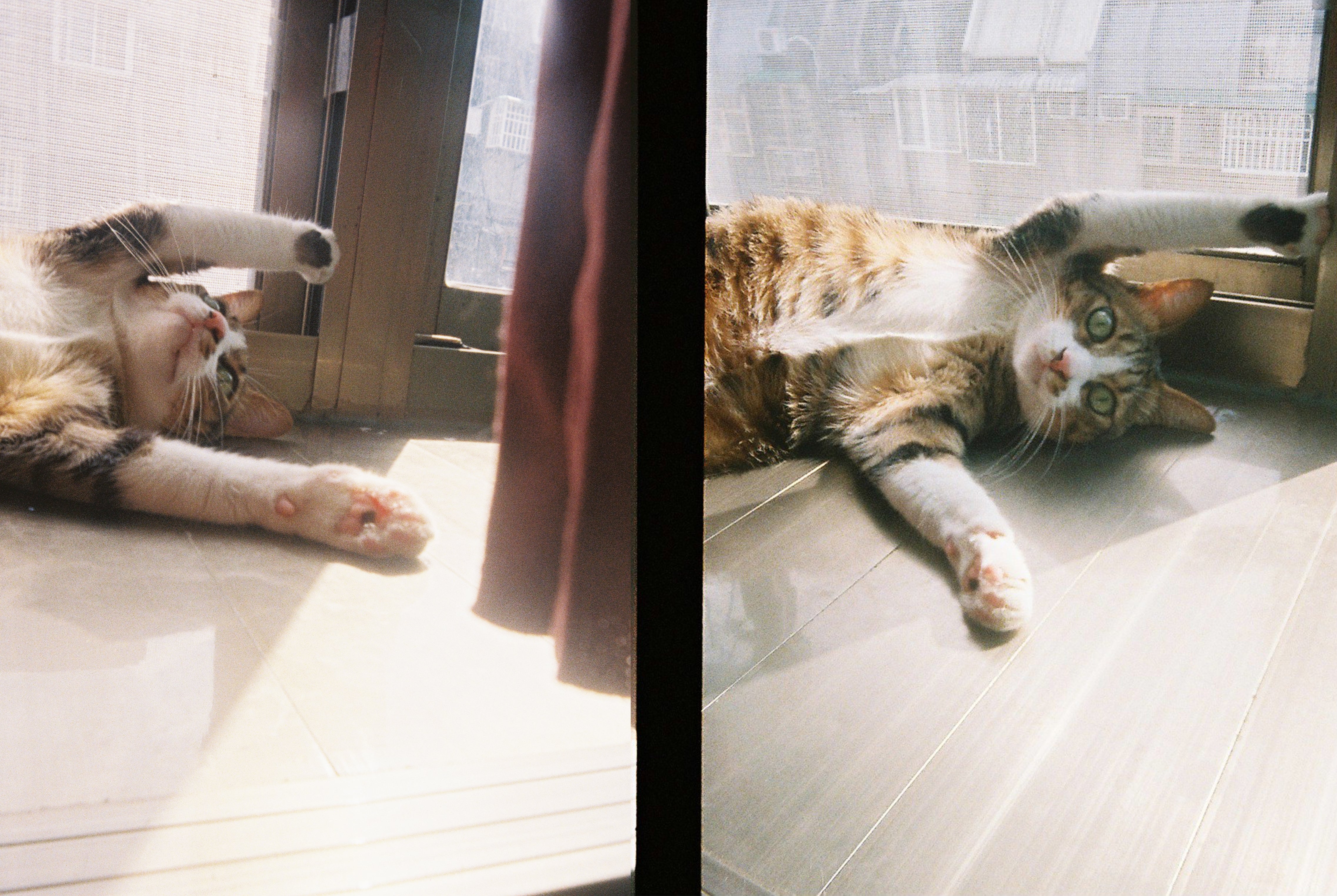 Kodak Ektar H35Half Frame Film Camera