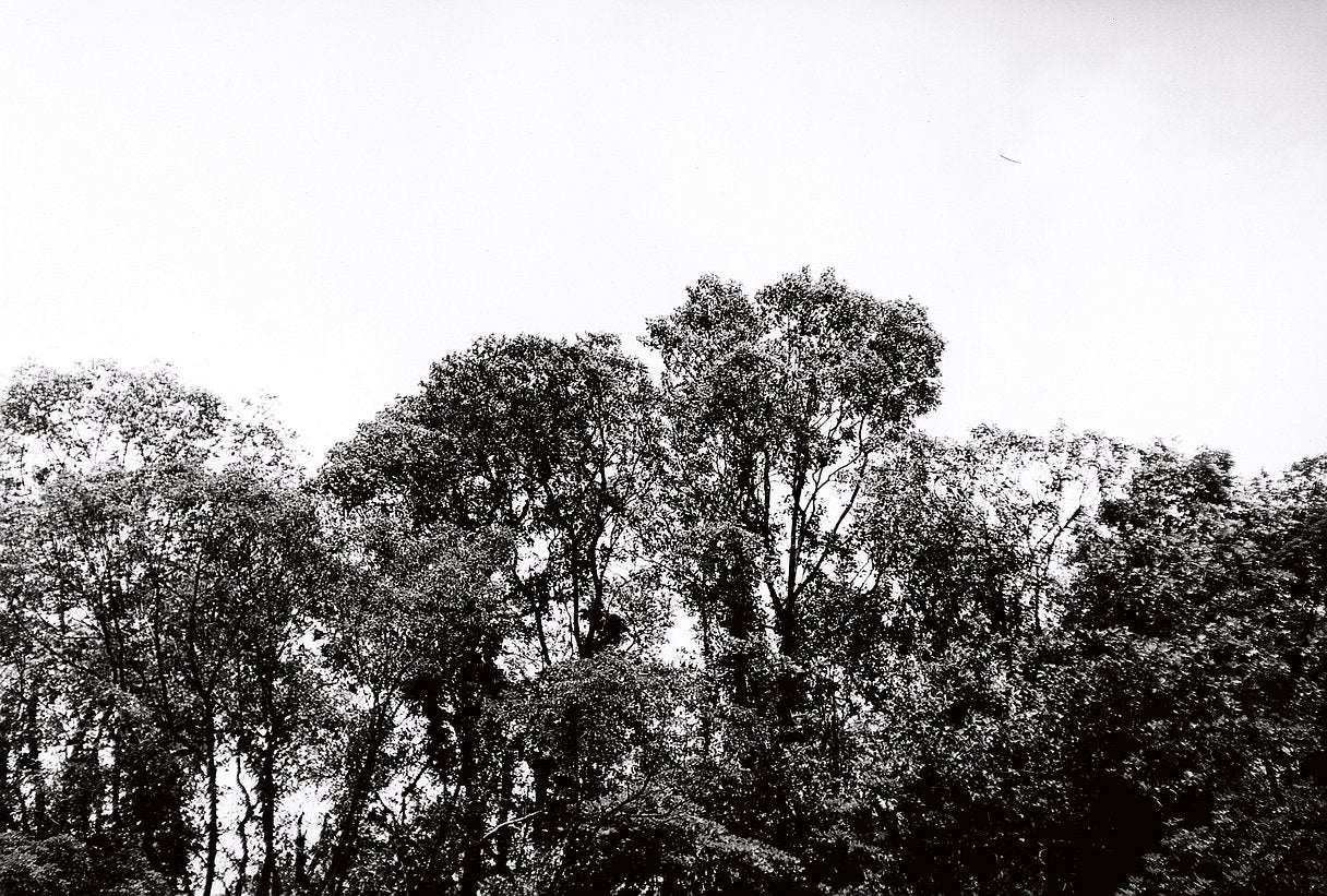 Lomography Fantome 8 / 135 - 36exp./ B&W