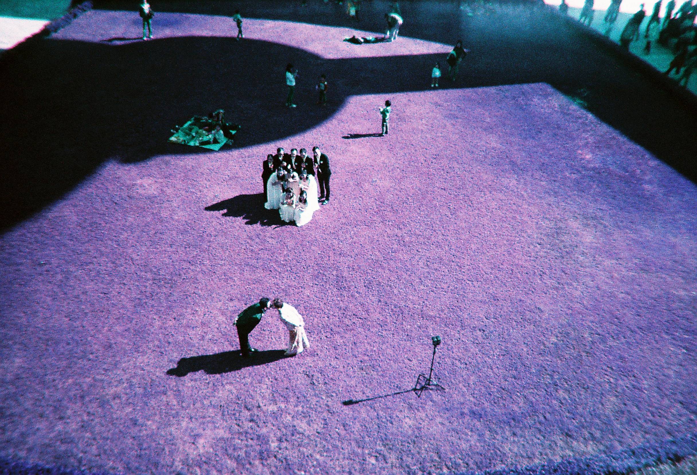 使用 Lomography 簡易膠片相機迷失在紫色迷幻中