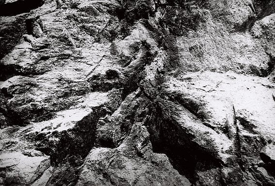 Lomography Fantome 8 / 135 - 36exp./ B&W