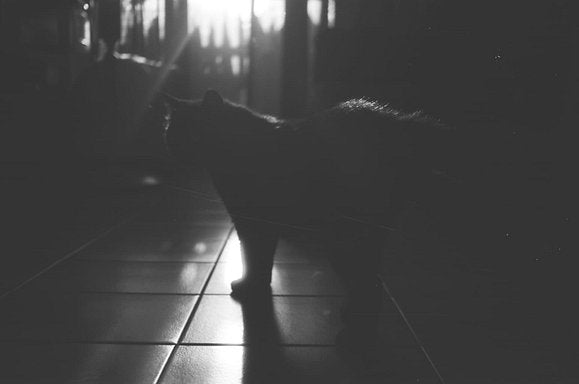 Lomography Babylon Kino B&W  / 135 - ISO 13