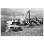 ADOX HR-50 / 135 - 36exp。