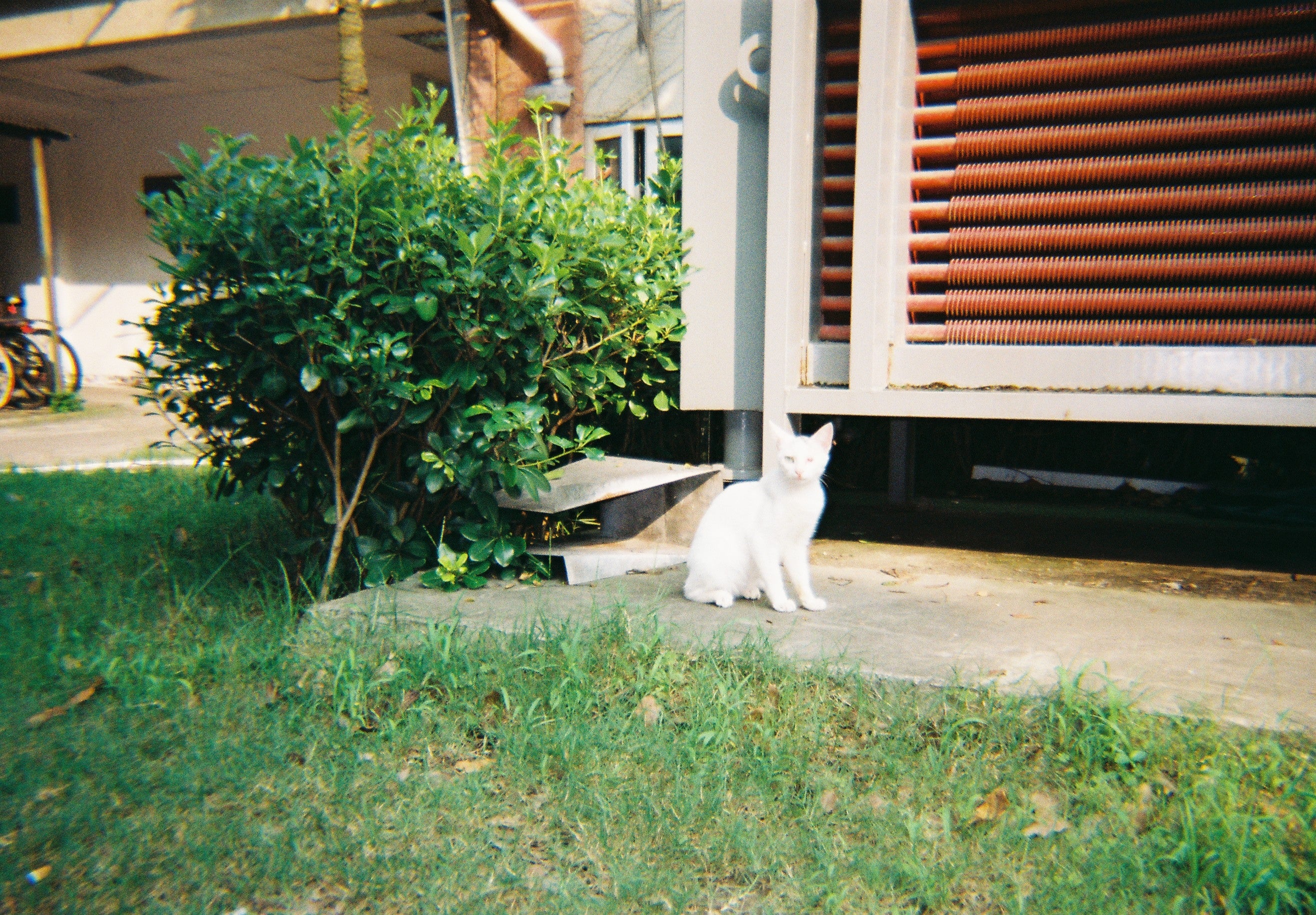 Kodak Film Camera M35