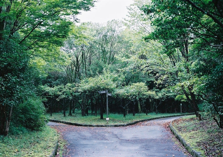 VIBE 800 / 135 - 27exp.