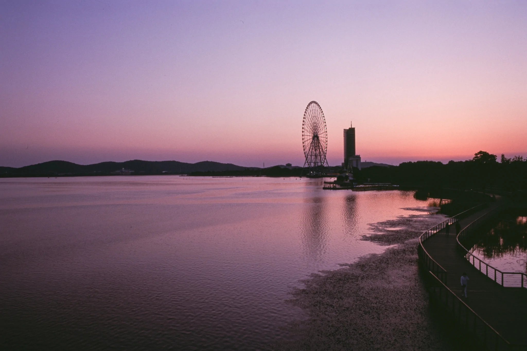 Reflx Lab 100R 35mm Color Reversal Film