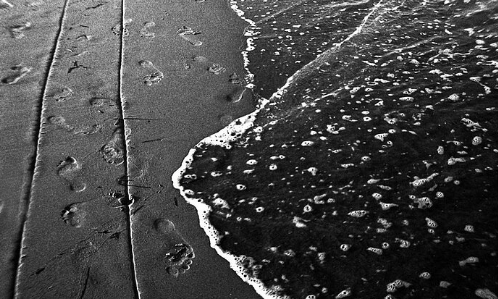 ADOX CHS 100 II / 135 - 36exp. / B&W