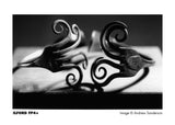 伊爾福德 FP4 / 135 / 黑白
