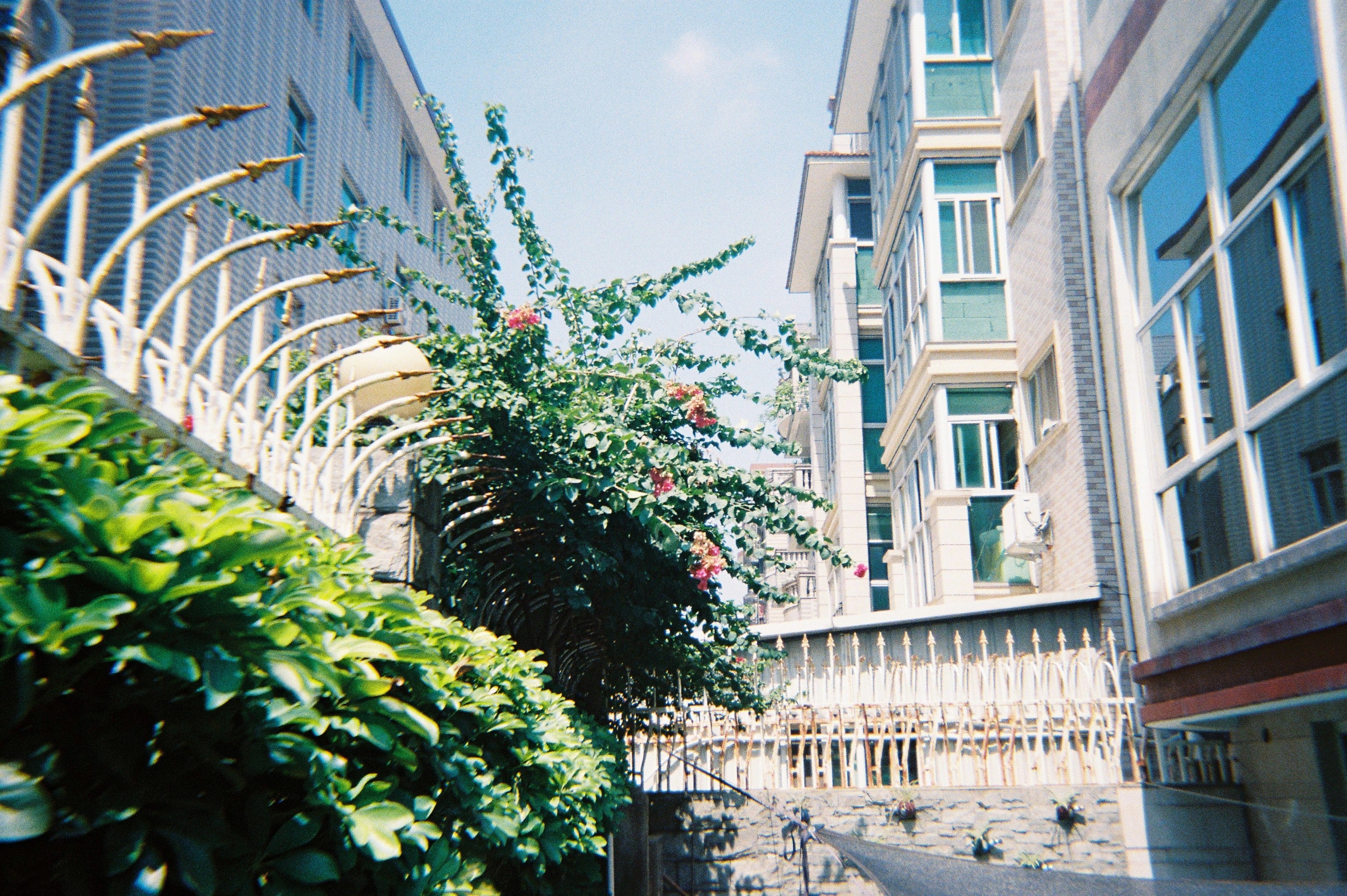 Kodak Film Camera i60