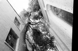 Lomography Berlin Kino B&W / 135 - ISO400